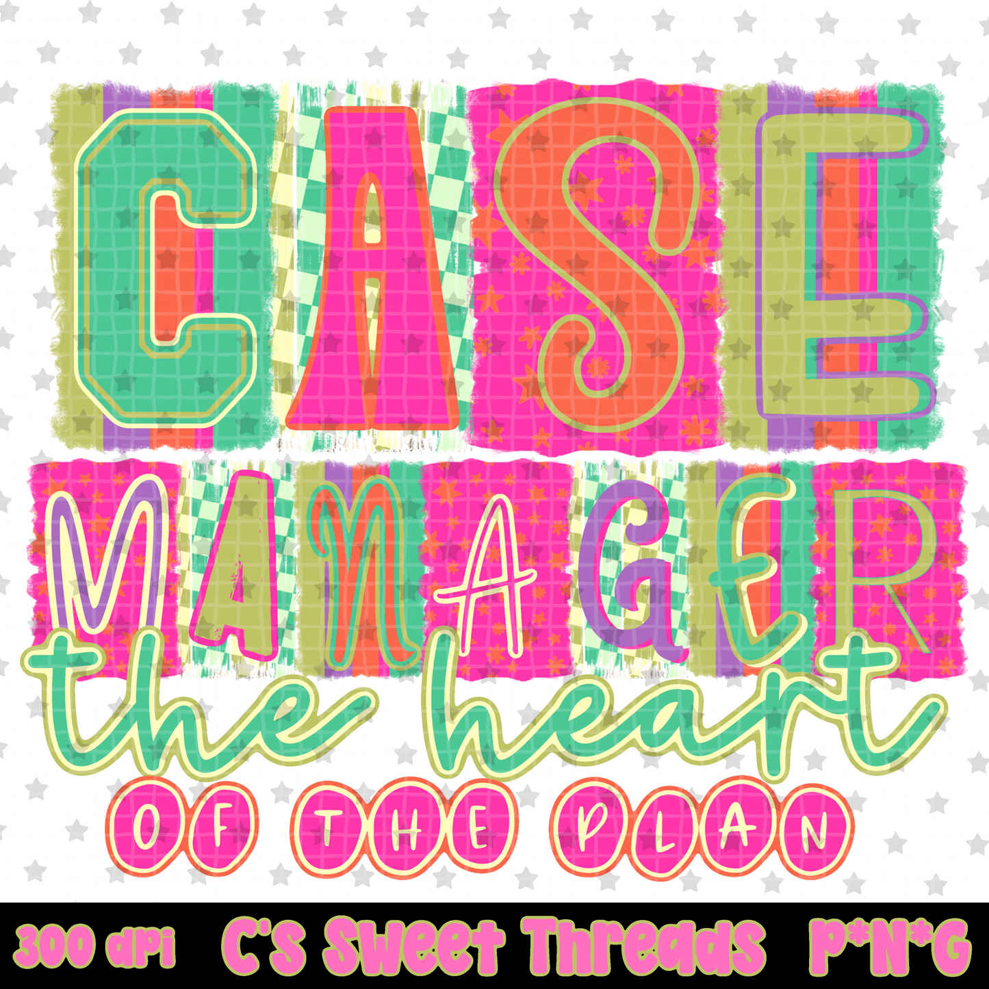 Case Manager Definition