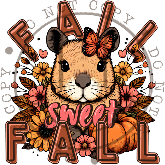 Fall Sweet Fall