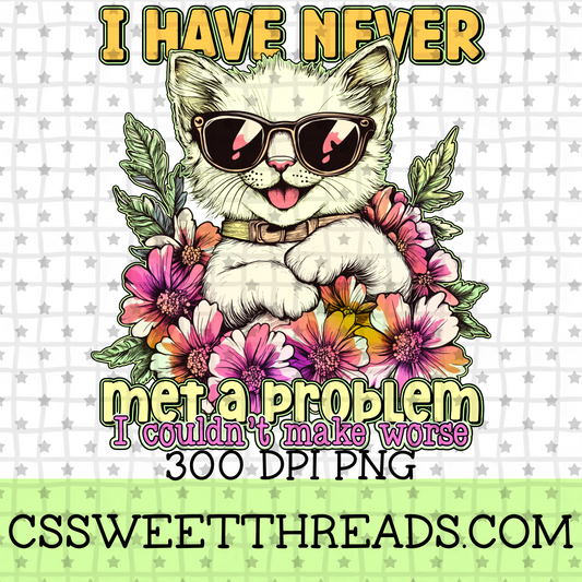 I Have Never Met A Problem