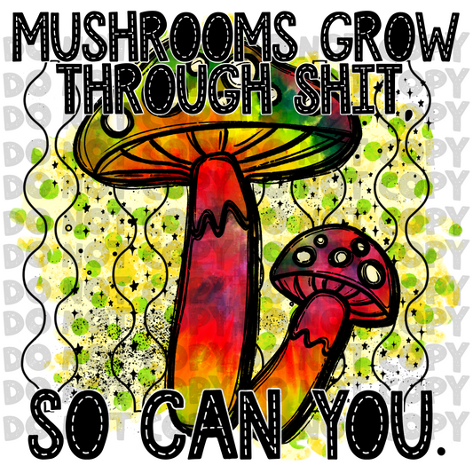 Mushrooms grow