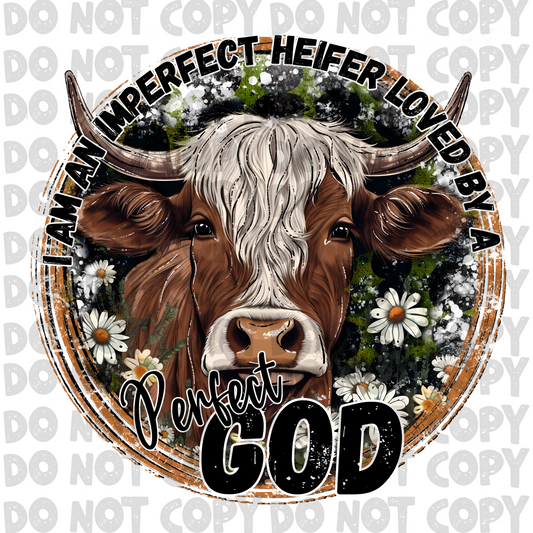 Imperfect heifer