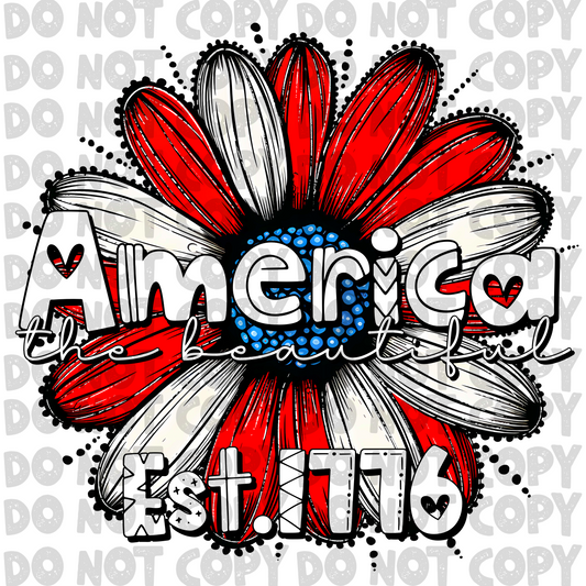 America the beautiful